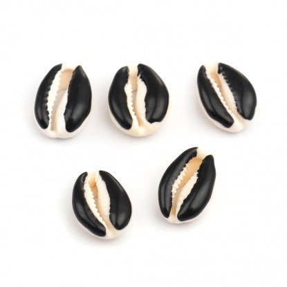 Image de Perles en Coquille Escargot de Mer Noir 25mm x 17mm-18mm x 14mm, 10 Pcs
