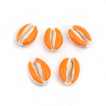 Image de Perles en Coquille Escargot de Mer Orange 25mm x 17mm-18mm x 14mm, 10 Pcs