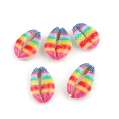 Image de Perles en Coquille Escargot de Mer Multicolore 25mm x 17mm-18mm x 14mm, 10 Pcs