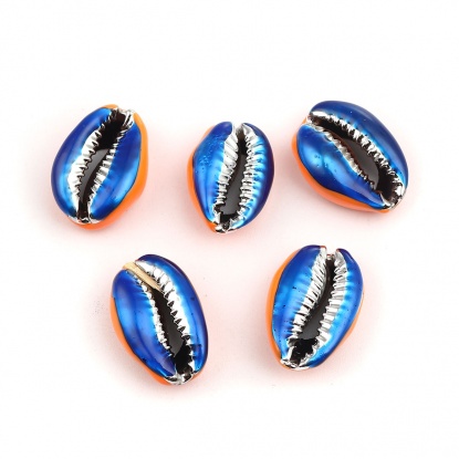 Image de Perles en Coquille Escargot de Mer Orange & Bleu Foncé Or 24mm x 16mm-17mm x 13mm, 5 Pcs