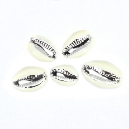 Image de Perles en Coquille Escargot de Mer Crème Argent 24mm x 16mm-17mm x 13mm, 5 Pcs