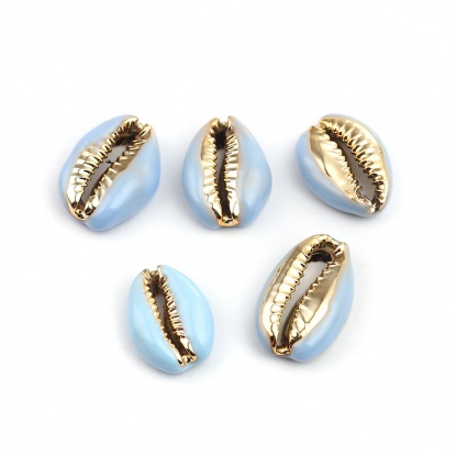 Image de Perles en Coquille Escargot de Mer Bleu Clair Or 24mm x 16mm-17mm x 13mm, 5 Pcs