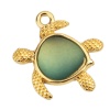 Picture of Zinc Based Alloy Ocean Jewelry Charms Tortoise Animal Gold Plated Light Green 20mm x 19mm, 5 PCs