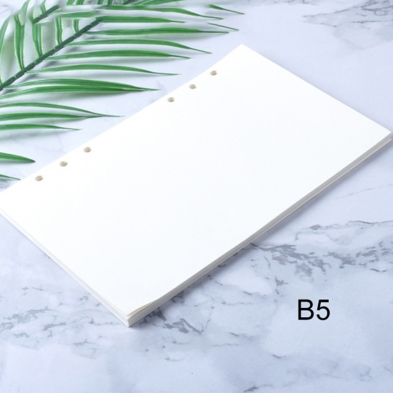 Picture of B5 Paper Loose Leaf Notebook Inner Page Refill Spiral Binder White Rectangle 1 Copy