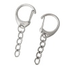 Picture of Iron Based Alloy Keychain & Keyring Lobster Clasp Silver Tone 49mm x 18mm, 20 PCs