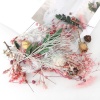 Bild von Getrocknete Blumen Harz Schmuck Handwerk Füllmaterial Zufällig Mix 17cm x 12cm, 1 Box