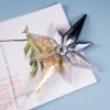 Bild von Silikon Weihnachten Gießform Stern Weiß 23.5cm x 17.7cm, 1 Stück