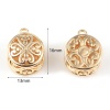 Immagine di Rame Charms Tondo 18K Oro riempito Fiore 16mm x 13mm, 2 Pz