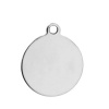 Picture of Stainless Steel Blank Stamping Tags Pendants Round Silver Tone One-sided Polishing 23mm x 20mm, 50 PCs