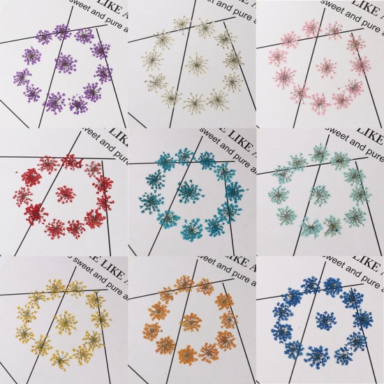 Image de Outils de Bijoux en Résine en Fleurs Séchées Vert 27mm x 27mm - 17mm x 17mm, 1 Paquet (12 Pcs/Paquet)