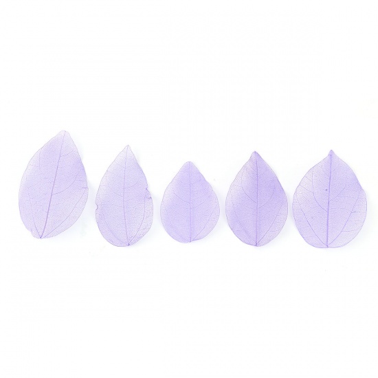 Picture of Natural Leaf Resin Jewelry Tools At Random Purple 8.3cm x4.5cm(3 2/8" x1 6/8") - 4.6cm x2.1cm(1 6/8" x 7/8"), 1 Packet ( 10 PCs/Packet)