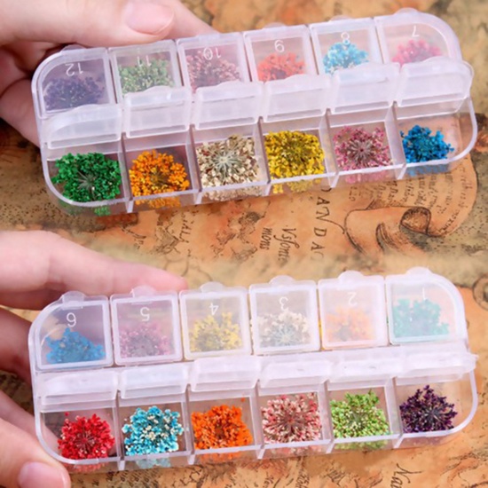 Picture of Plastic Resin Jewelry Tools Rectangle Dried Flower