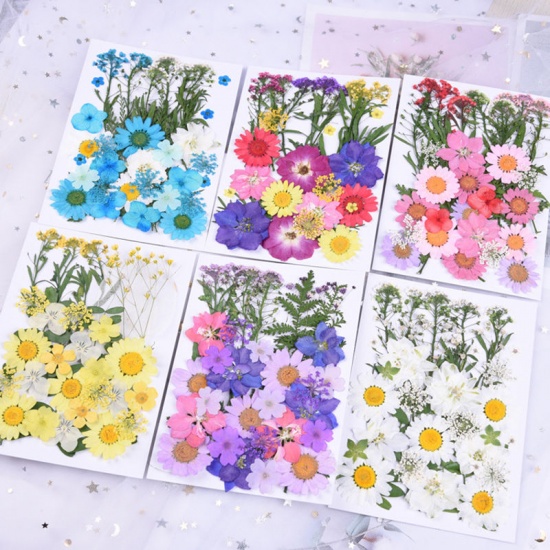 Picture of Real Dried Flower Resin Jewelry Craft Filling Material