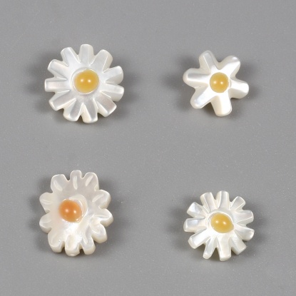Image de Perles en Coquille Chrysanthème Blanc & Jaune 12mm x 12mm, Taille de Trou: 0.7mm, 1 Pièce