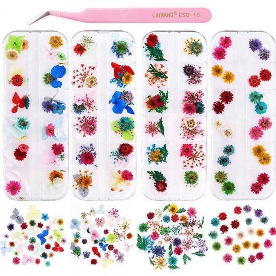 Picture of Real Dried Flower Resin Jewelry Craft Filling Material Multicolor Mixed 13cm x 5cm, 1 Box