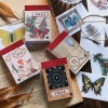 Immagine di Carta Giapponese DIY Decorazione Di Scrapbook Adesivi Multicolore 6cm x 4cm, 1 Copia