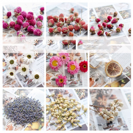Picture of Real Dried Flower Resin Jewelry Craft Filling Material Multicolor 12cm x 8cm, 1 Packet