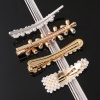 Picture of Acrylic Hair Clips Multicolor 1 Piece