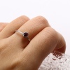 ステンレス鋼 誕生石 調整不能 リング 指輪 シルバートーン 環状 多色 ラインストーン 17.3mm（日本サイズ約14号）、 1 個 の画像