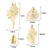 Immagine di Rame Charms Conchiglia Oro riempito 3cm x 1.4cm, 3 Pz