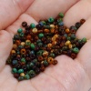 Immagine di Vetro Seme Perline Round Rocailles Multicolore Pietra Imitazione 3mmx 2mm, Foro:Circa 1mm, 1 Scatola