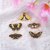 Immagine di Insetto Spilla Farfalla Oro Placcato Multicolore Smalto 1 Pz