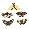 Immagine di Insetto Spilla Farfalla Oro Placcato Multicolore Smalto 1 Pz