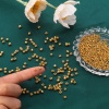 Immagine di Vetro Seme Perline Round Rocailles Multicolore Placcatura 10 Grammi
