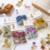 Immagine di PET DIY Scrapbook Deco Stickers Multicolor Flower Leaves 12.2cm x 8.5cm, 1 Packet ( 30 PCs/Packet)