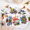 Immagine di PET DIY Decorazione Di Scrapbook Adesivi Multicolore Uccello 10cm x 5cm, 1 Serie ( 30 Pz/Serie)