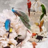 Immagine di PET DIY Decorazione Di Scrapbook Adesivi Multicolore Uccello 10cm x 5cm, 1 Serie ( 30 Pz/Serie)