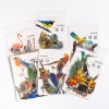 Immagine di PET DIY Decorazione Di Scrapbook Adesivi Multicolore Uccello 10cm x 5cm, 1 Serie ( 30 Pz/Serie)