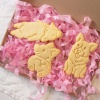 Picture of Plastic Modeling Clay Tools Baked Biscuit Mold Cutter White Dog Animal