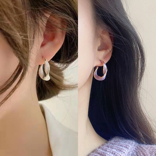 Picture of Retro Hoop Earrings Multicolor Enamel Twist