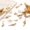 Bild von Acryl Ozean Schmuck Anhänger Strandschnecke Khaki , mit Muschelschale Muster, 1 Packung