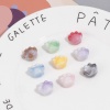 Bild von Acryl Haustier Denkmal Perlen für die Herstellung von DIY-Charme-Schmuck Bunt Kralle ca. 18.5mm x 16mm, Loch:ca. 2.6mm, 20 Stück