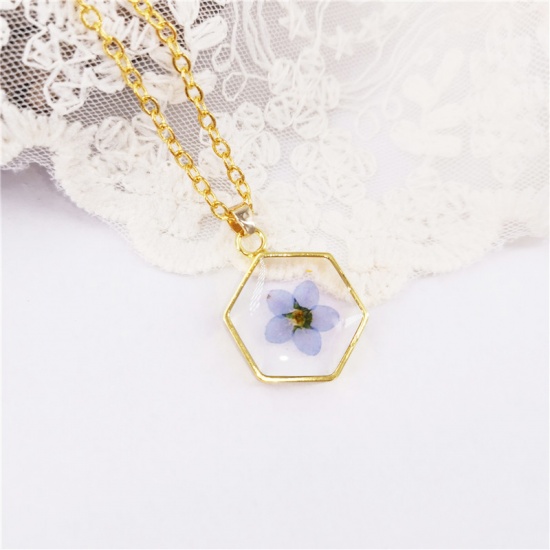 Image de Colliers Bijoux en Résine Faits à la Main Fleur Séchée Doré Bleu Clair Hexagone 45cm long, 1 Pièce