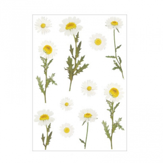 Image de DIY Papier Autocollant Décoration Blanc & Jaune Marguerite 15cm x 10.5cm, 1 Kit
