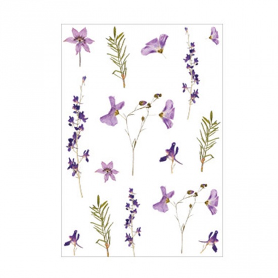 Image de DIY Papier Autocollant Décoration Violet Iris 15cm x 10.5cm, 1 Kit