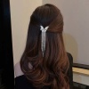 Bild von Zinklegierung Haarklammer Silberfarbe Schmetterling Quaste Transparent Strass 18cm x 4.8cm, 1 Stück