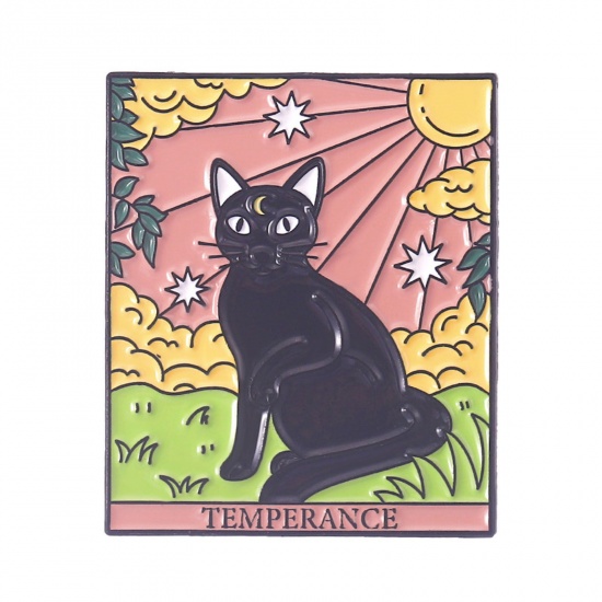 Bild von Punk Brosche Rechteck Katze Bunt Emaille 3cm x 2.5cm, 1 Stück