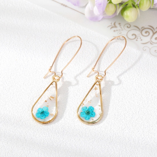 Bild von Handgemachte Harz Schmuck Echte Blume Ohrring Vergoldet Blau Tropfen Blumen 5.6cm x 1.4cm, 1 Paar